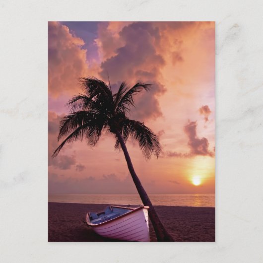 Hawaii Island Travel Beach Sunset Palm Tree Boat Briefkaart (Voorkant)