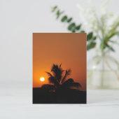 Hawaii Island Travel Beach Sunset Palm Tree Briefkaart (Staand voorkant)