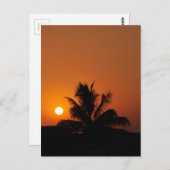 Hawaii Island Travel Beach Sunset Palm Tree Briefkaart (Voorkant / Achterkant)
