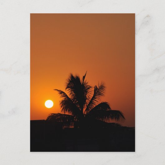 Hawaii Island Travel Beach Sunset Palm Tree Briefkaart (Voorkant)