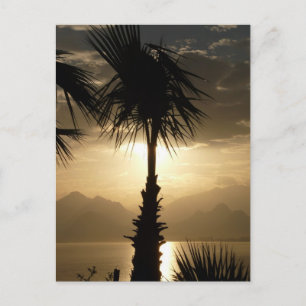 Hawaii Island Travel Beach Sunset Palm Trees Briefkaart