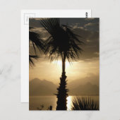 Hawaii Island Travel Beach Sunset Palmbomen Briefkaart (Voorkant / Achterkant)