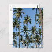 Hawaii Island Travel Exotic Beach Palm Trees Briefkaart (Voorkant / Achterkant)