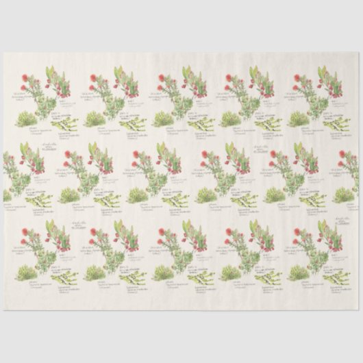Hawai'i Island Volcano Native Planten Tissue Paper Tissuepapier (Voorkant)