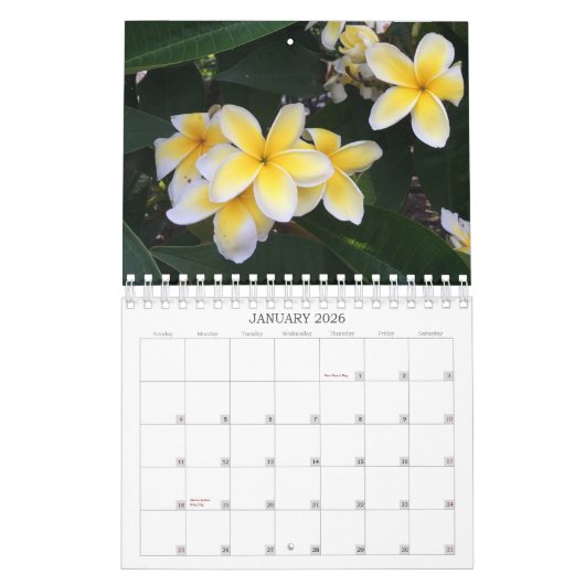 Hawaii Kalender (Jan 2026)