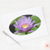 Hawaii Lotus Bloem Ovale Sticker (Envelop)
