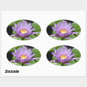 Hawaii Lotus Bloem Ovale Sticker (Vel)