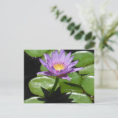 Hawaii Lotus Flower Briefkaart (Staand voorkant)