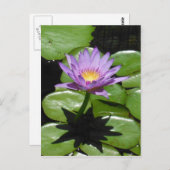 Hawaii Lotus Flower Briefkaart (Voorkant / Achterkant)