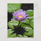 Hawaii Lotus Flower Briefkaart (Voorkant)