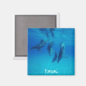 Hawaii Magneet (Voorkant / Achterkant)