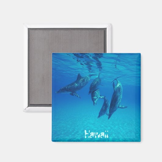 Hawaii Magneet (Voorkant / Achterkant)