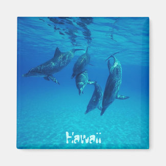 Hawaii Magneet