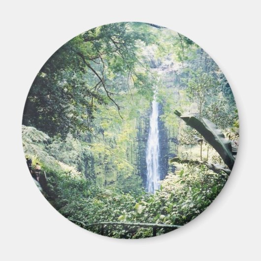 hawaii magneet (Voorkant)