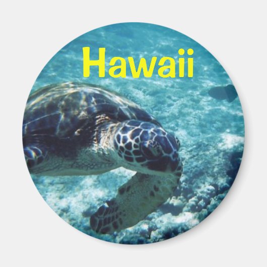 Hawaii magnet (Voorkant)