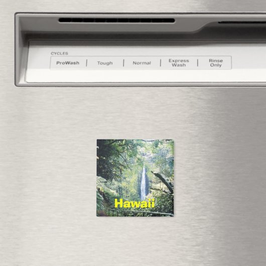 Hawaii magnet (Insitu (Vaatwasser))