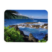Hawaii Magnet Magneet (Horizontaal)