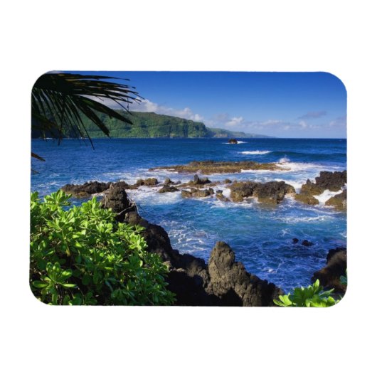 Hawaii Magnet Magneet (Horizontaal)