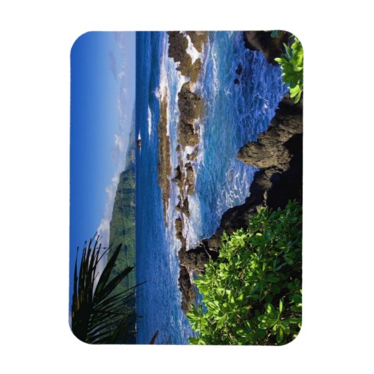 Hawaii Magnet Magneet (Verticaal)