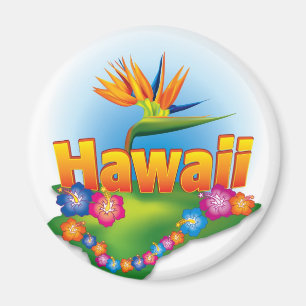 Hawaii Magnet-ontwerp Magneet