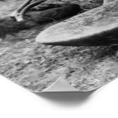 Hawaii - Man die Taro om Poi te maken Poster (Hoek)