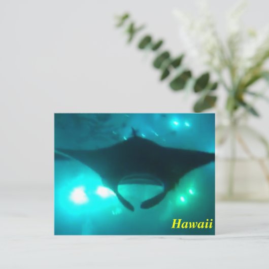 Hawaii Manta Ray Briefkaart (Staand voorkant)