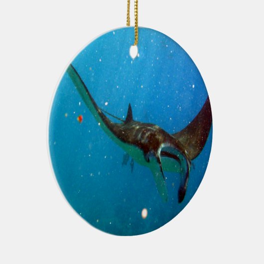 Hawaii Manta Ray Keramisch Ornament (Rechts)