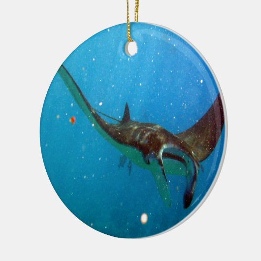 Hawaii Manta Ray Keramisch Ornament (Links)