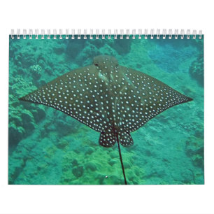Hawaii Manta Rays, Eels en Octopus Kalender
