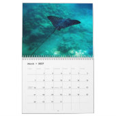 Hawaii Manta Rays, Eels en Octopus Kalender (Mar 2027)