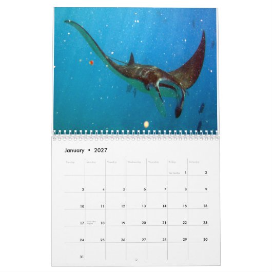 Hawaii Manta Rays, Eels en Octopus Kalender (Jan 2027)
