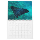 Hawaii Manta Rays, Eels en Octopus Kalender (Feb 2027)