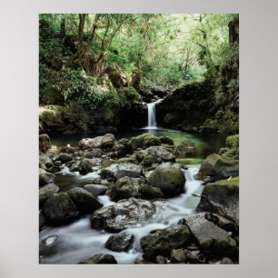 Hawaii, Maui, Een waterval stroomt in Blauwe Poel Poster