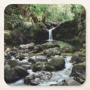 Hawaii, Maui, Een waterval stroomt in Blue Pool Kartonnen Onderzetters