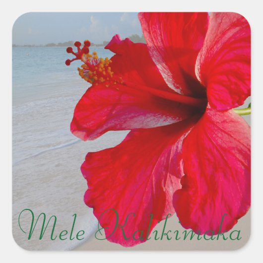Hawaii Mele Kalikimaka Vrolijk kerstfeest Vierkante Sticker (Voorkant)