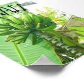 HAWAII NATUUR POSTER (Hoek)