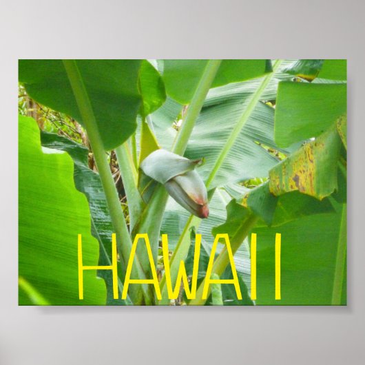 HAWAII NATUUR POSTER (Voorkant)