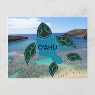 Hawaii Oahu Island Turtle Briefkaart