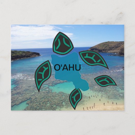 Hawaii Oahu Island Turtle Briefkaart (Voorkant)