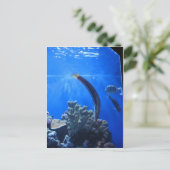 Hawaii-onderwater Briefkaart (Staand voorkant)