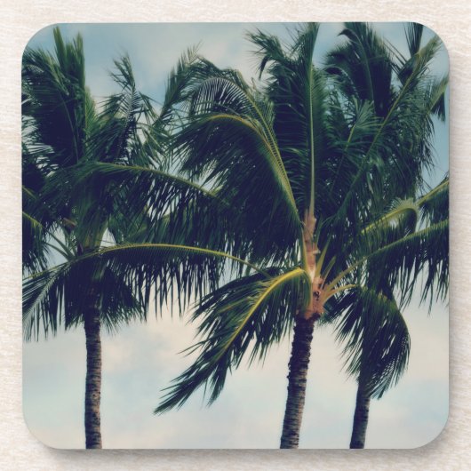 Hawaii Palm Trees Bier Onderzetter (Voorkant)