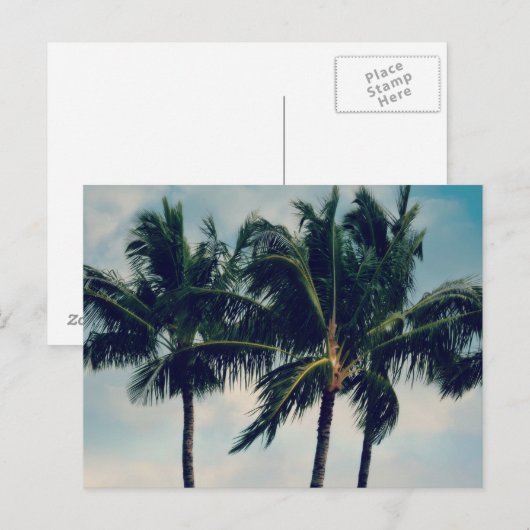 Hawaii Palm Trees Briefkaart (Voorkant / Achterkant)