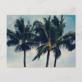 Hawaii Palm Trees Briefkaart (Voorkant)