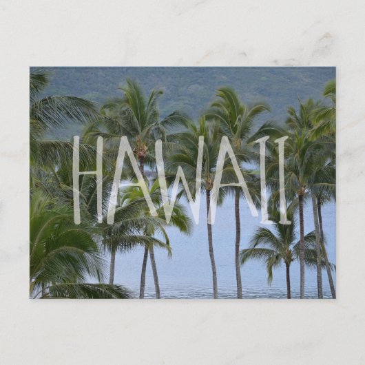 Hawaii Palm Trees Briefkaart (Voorkant)