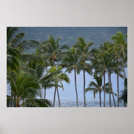 Hawaii Palm Trees Poster (Voorkant)