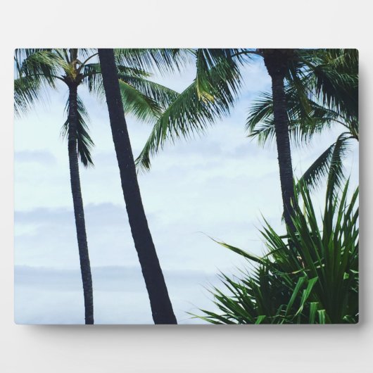 Hawaii Palmbomen Fotoplaat (Voorkant)