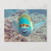 Hawaii Parrot Fish Briefkaart (Voorkant)