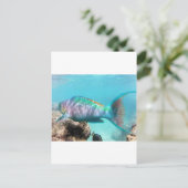 Hawaii Parrot Fish Briefkaart (Staand voorkant)
