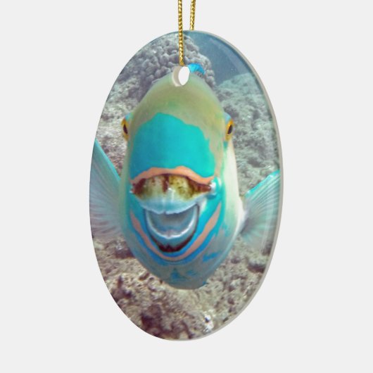 Hawaii Parrot Fish Keramisch Ornament (Links)