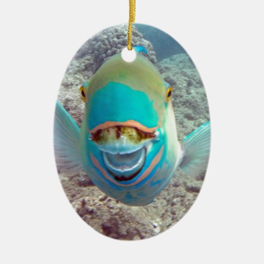 Hawaii Parrot Fish Keramisch Ornament (Voorkant)